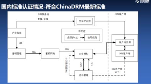 浦江論道 永新視博李自東談符合融媒體安全的版權保護系統，構建IPTV行業健康生態